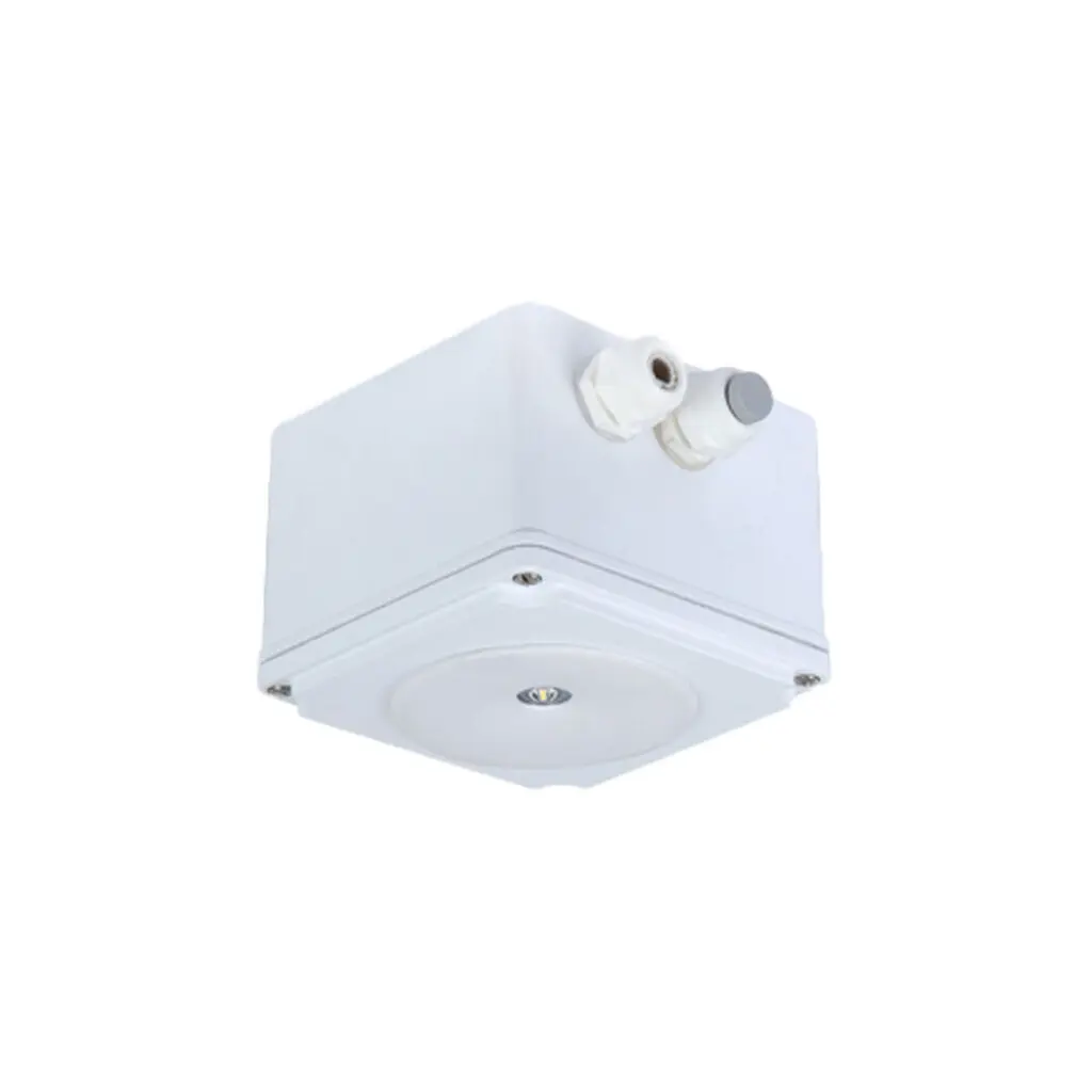 چراغ اضطراری روکار مازی نور مدل آرورا با لنز نامتقارن و استفاده با باتری کد محصول: M220ERLED2EPN840-W